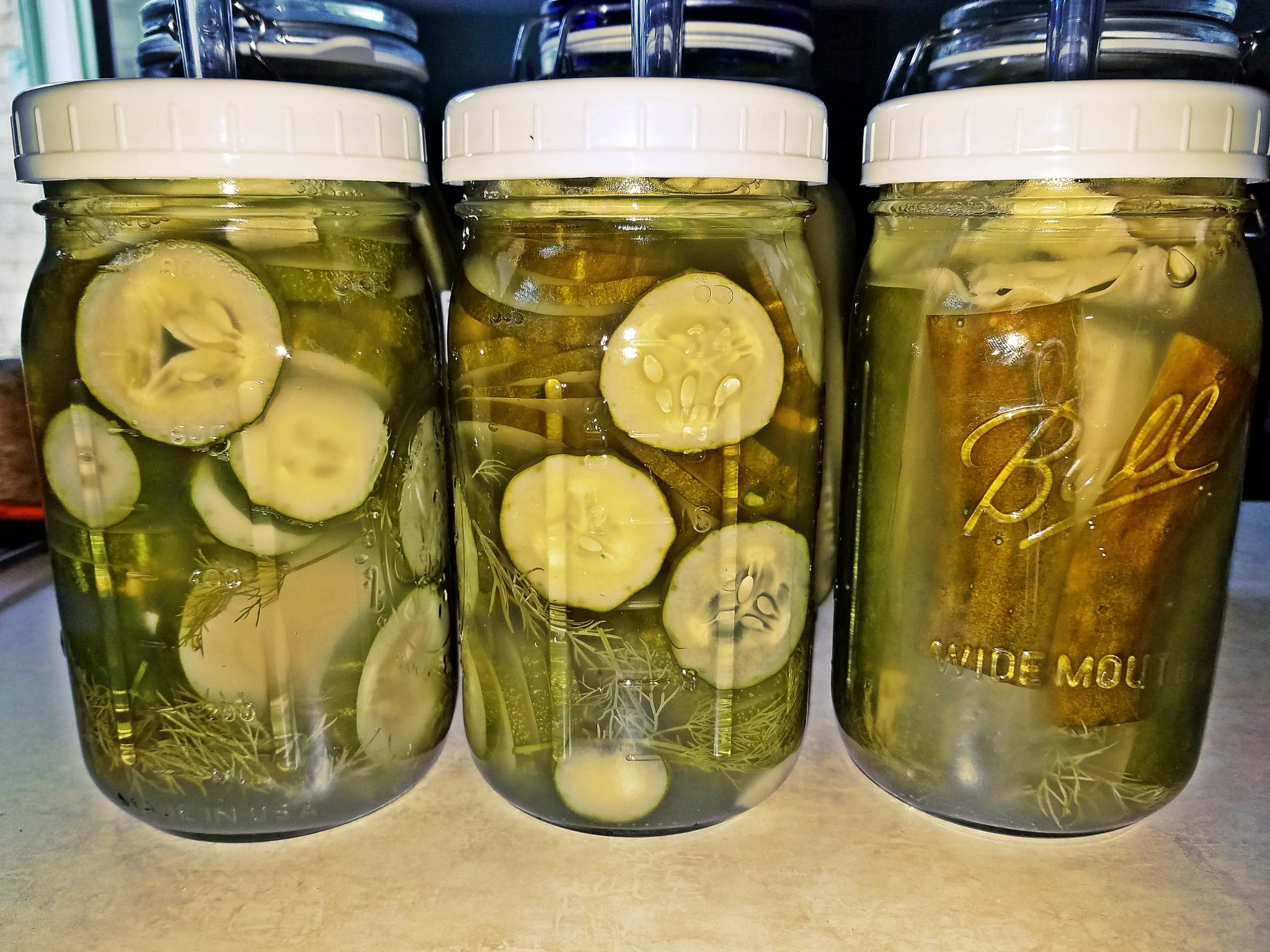 A Simple Fermented Pickles Guide Grow To Save
