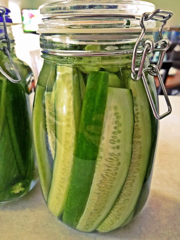 A Simple Fermented Pickles Guide Grow To Save