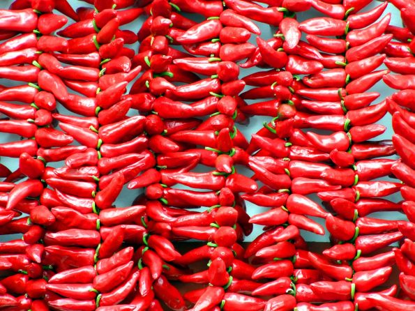 grow hot peppers