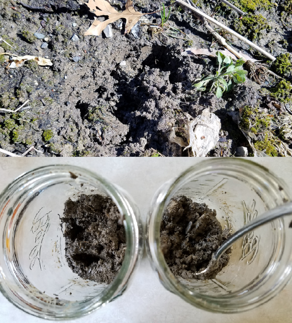 testing soil